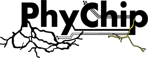 PhyChip
